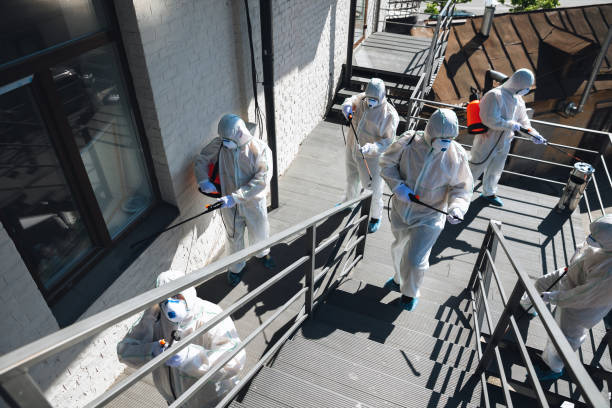 Best Forensic Mold Investigation  in Thief River Falls, MN